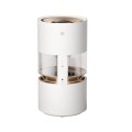 Smartmi Rainforest Humidifier ewaporacyjny nawilżacz powietrza