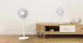Xiaomi Mi Smart Standing Fan 2 Lite wentylator stojący