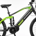 Argento Performance Pro E-Bike black/green rower elektryczny