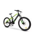 Argento Performance Pro E-Bike black/green rower elektryczny