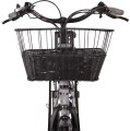Lancia YPSILON Incanto E-Bike silver rower elektryczny